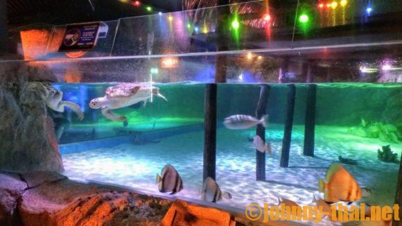 シーライフバンコク（Sea Life Bangkok Ocean World）の見どころや楽しみ方