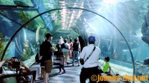 「シーライフバンコクオーシャンワールド」の水中トンネル